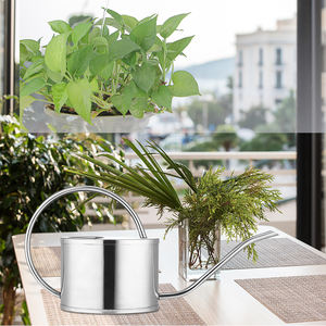 Manico decorativo da 1 litro in acciaio inossidabile ovale colorato colorato alla rinfusa interna carino da giardino in metallo piccolo Mini annaffiatoio <span class=keywords><strong>per</strong></span> <span class=keywords><strong>piante</strong></span> - Product Image 3