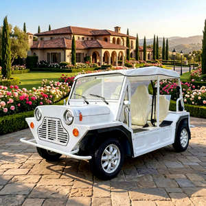 Voiture classique électrique entièrement métallique, fabriquée sur mesure, haute performance, véhicule spécial, vitesse maximale de 30 km/h, pour les voyages de loisirs en plein air - Product Image 1