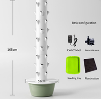 Tour de culture verticale pour baies fraîches à la maison, ultra abordable, hydroponique, intérieur, jardin de fraises, peu encombrant