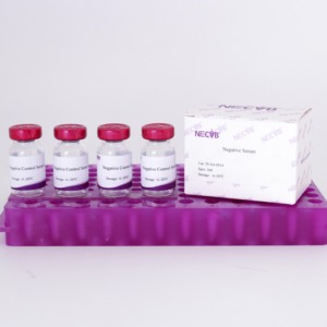 Soro de Controle Negativo de Alta Qualidade para ELISA/<span class=keywords><strong>IHC</strong></span> - Animal-Free, Estéril, Bulk Orders Available - Product Image 1
