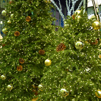 Fernbedienbare Lichterkette mit Stecker, 200m 300m Mikro-Sternenlichter, wasserdicht, für Schlafzimmer, Garten, Weihnachtsbaumdekoration