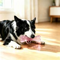 Jouet à mâcher pour chien en TPR transparent, résistant à l'eau, facile à nettoyer, résistant aux morsures, jouet interactif pour animaux de compagnie