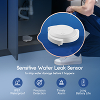 Capteur de fuite d'eau intelligent sans fil IRS-WD1 en plastique OEM, étanche IP67, facile à utiliser avec 2 piles AAA (non incluses)
