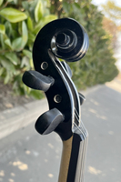 Violon électrique portable Sinomusik tout en bois massif noir, avec étui, archet et câble – Prix abordable, marque personnalisable