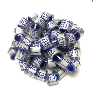 Postduif ringen clip 2020 - Product Image 6