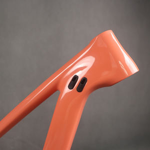 BSA Marco de fibra de carbono 29er suspensión <span class=keywords><strong>bicicleta</strong></span> de montaña marco 100mm 148*12mm 142*12mm XC MTB <span class=keywords><strong>bicicleta</strong></span> de viaje con FM027 PT170C - Product Image 2