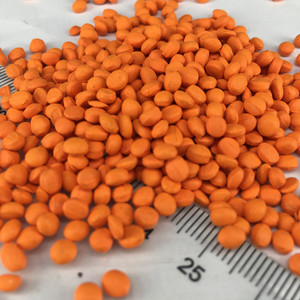 Trung Quốc Nhà cung cấp nóng bán nhựa màu PELLET hạt các loại của Pearlescent màu vàng <span class=keywords><strong>masterbatch</strong></span> cho PP PE PET - Product Image 6