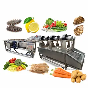 Lavadora automática de ozono para limpieza de vegetales, máquina de lavado de aceite de oliva, limón, verduras, perejil, Papaya, pequeña