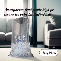 Sacs à glaçons de voyage en plastique transparent robuste de haute qualité, durables, portables et ouverts sur le dessus, de qualité alimentaire pour la vente en gros