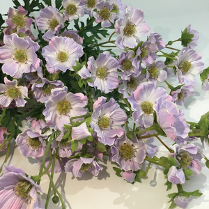 2025 Vente en gros <span class=keywords><strong>Cosmos</strong></span> Flower Row Fleurs et plantes décoratives pour la décoration intérieure ou extérieure de la maison - Product Image 4