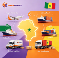 Ligne logistique spéciale Chine-Sénégal : Solution d'expédition économique DDU DDP, livraison de fret maritime et aérien au Sénégal