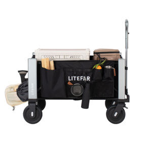 Fabricant de chariots électriques intelligents, chariot utilitaire à commande à distance, 500W, double moteur, tout-terrain, capacité de charge de 150 kg - Product Image 2