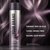 Spray Colorant Capillaire Temporaire Sans Décoloration Qualité Supérieure Rose Vif Bleu Violet Rouge Fournisseur OEM ODM en Gros
