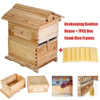 Set Completo de 7 Piezas de Colmena de Abejas Autofluyente para Apicultura, Caja de Colmena y Marcos de Miel en Madera de Abeto Chino
