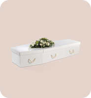 Cercueil pour adultes en papier kraft recyclé ondulé rigide, écologique, biodégradable, style européen, capacité de 220 pouces cubes, 1 an