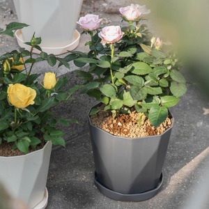 Pot de fleurs en plastique domestique simple créatif et personnalisé épaissi de <span class=keywords><strong>petit</strong></span> gallon nordique - Product Image 4