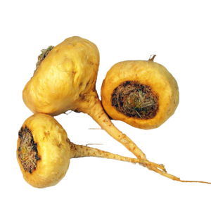 Kualitas tinggi ekstrak <span class=keywords><strong>Maca</strong></span> hitam Herbal bubuk <span class=keywords><strong>Maca</strong></span> hitam untuk pria bubuk akar <span class=keywords><strong>Maca</strong></span> hitam - Product Image 3