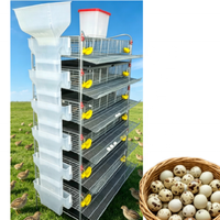 Cage d'élevage durable pour cailles et perdrix avec ligne d'eau intégrée et nichoir à convoyeur pour fermes à haut rendement