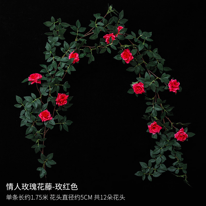 Vigne de roses roses pour la Saint-Valentin