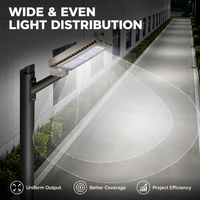 Lampadaire LED extérieur étanche IP66 en aluminium moulé sous pression pour routes communautaires, 80W, 150W, 220W, 320W, AC 100-277V, vente en gros