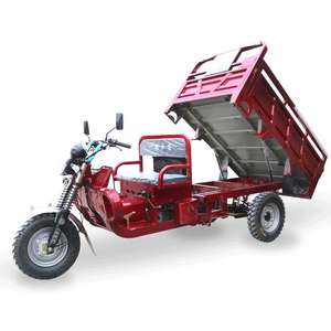 Potente Transportador <span class=keywords><strong>de</strong></span> Frutas <span class=keywords><strong>de</strong></span> 200cc con Opción <span class=keywords><strong>de</strong></span> Cabina Cerrada, Triciclos a Gasolina - Product Image 6