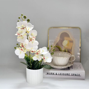 Orquídea Artificial de Alta Calidad <span class=keywords><strong>con</strong></span> 2 Ramas <span class=keywords><strong>y</strong></span> 12 <span class=keywords><strong>Flores</strong></span>, Ramo de Phalaenopsis en Maceta, Flor Artificial Simulada para Decoración del Hogar <span class=keywords><strong>y</strong></span> Bodas - Product Image 6
