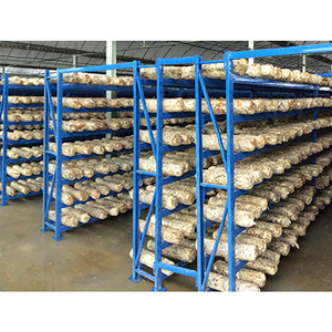 Multifunctional Mushroom Cultivation Rack Adjustable Layer Height Growing <b>Shelf</b> <b>Industrial</b> Production Equipment - Product Image 3