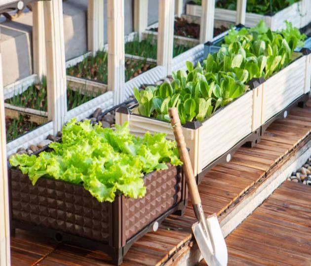 Indoor & Outdoor Plastic Vegetable & Flower Planter Box with Drainage Tray - View 6
