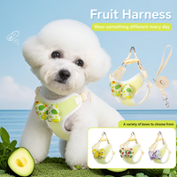 Groothandel Fruit Design Ademend Buiten Hondentuig Verstelbaar