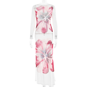 Robe longue imprimée en maille pour femme, col rond, manches longues, moulante, imprimé floral, robe de soirée, taille naturelle, jupe longue, translucide - Product Image 5