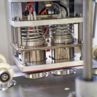 Machine de remplissage de gobelets directe usine, scelleuse en acier inoxydable de qualité alimentaire pour sauce chili et sauce tomate, remplisseur à piston rotatif