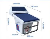 Plate-forme de démarrage standard en une étape pour accessoires de piscine en acier Piscina avec plongeoir