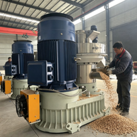 Machine à granulés de biomasse à anneau de haute qualité, la plus vendue, avec moteur haute performance pour la granulation à grande échelle du bois