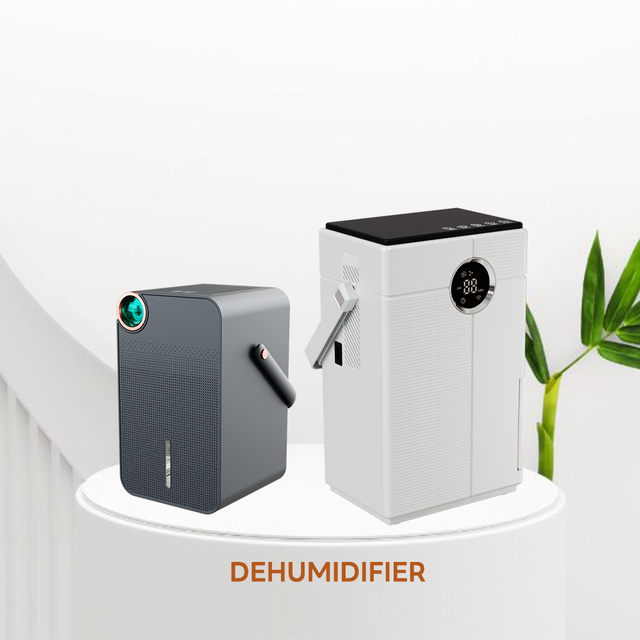 Mini Home Dehumidifier 1000 ml Dehumidifier With Air Purifier Home