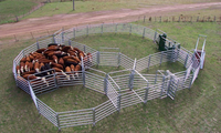 Panneaux de clôture pour chevaux et bétail en acier galvanisé de 10 pieds, robustes, écologiques, faciles à assembler, pour fermes et enclos à bétail