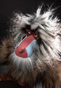 Peluche de Babión, Juguete de Peluche Suave y Realista de <span class=keywords><strong>Mono</strong></span> con Pelo Salvaje y Cara Expresiva - Product Image 3