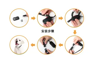 Rastreador inteligente para mascotas Rongxiang, localizador GPS, Seguimiento para perros y gatos, versión europea