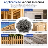 Clous en fer Q195 de qualité industrielle à tête lisse, sans bavure, finition polie, clous courants pour le travail du bois intérieur et les cadres de meubles
