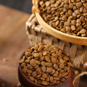 אום חומרי גלם טבעיים רבים צורות מרובות טעמים חתולים לחיות מחמד כמו מאוזן כל גיל יבש/מזון כלבים - Product Image 1