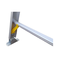 Ventes de pointe moderne robuste 2X10 étape 20ft 2 sections Double extension échelle droite en aluminium avec crochet 330lb EN 131