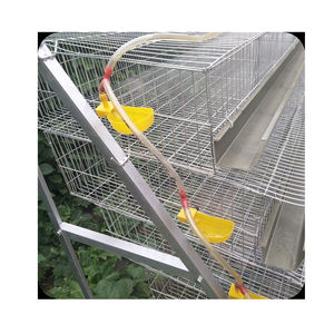 Automatische Een Soort Grote Capaciteit 800 Vogels Gegalvaniseerd Ei Fokken Laag Kwartel Kooi Voor Verkoop - Product Image 6