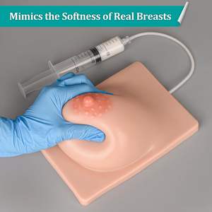 Modelo De Mama De Lactação Com Função De Expressão De Leite Modelo Educacional De Pano De Mama Modelo De Ensino Simulação Molde De Mama - Product Image 3
