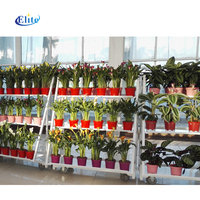Chariot à plantes hollandais CC, seau à fleurs danois, conteneur à roulettes, pot