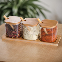 Pot à épices en verre borosilicate de haute qualité pour la cuisine, pot à épices avec cuillère en bois, 3 pièces, pots à épices