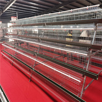 BANGYUAN Nuevo Jaula Automática Tipo A para Baterías de Gallinas Ponedoras, Modelo A-740 Galvanizado en Caliente para Granjas Avícolas, Alta Rentabilidad