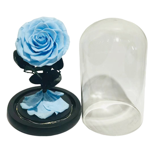 2025 anni all'ingrosso fatto a mano bellezza eterno conservato rose fiore In vetro cupola fiori classici per natale Valentbest qualità - Product Image 6