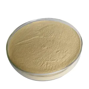 Brouwer saccharomyces cerevisiae Gist Hydrolysate 55% eiwit