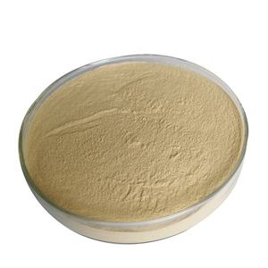 Brasserie saccharomyces cerevisiae Hydrolysat De Levure 55% protéines - Product Image 1