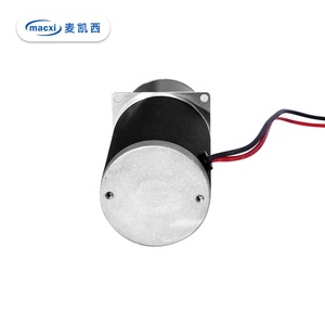 Mini Bomba Dosificadora de Engranajes de Acero Inoxidable con Accionamiento Magnético de 24 V CC - Product Image 4