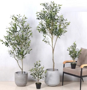 Olivier artificiel avec pot de ciment enduit de poudre nordique Nouveau design durable et écologique pour la maison ou le jardin - Product Image 2